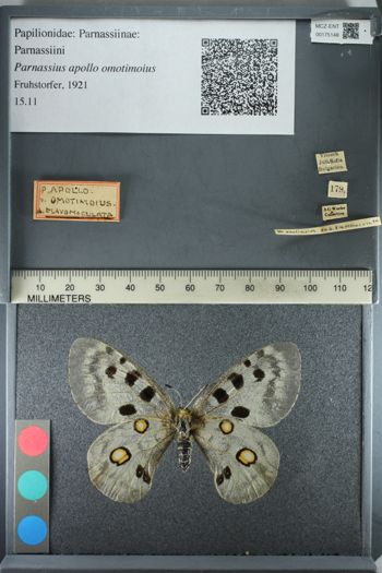 Media type: image;   Entomology 175148